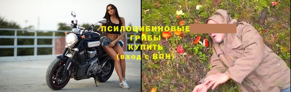 2c-b Мегион