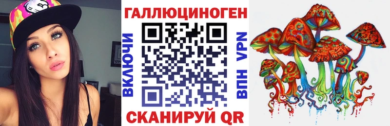 где найти   Новоалександровск  Псилоцибиновые грибы мицелий 